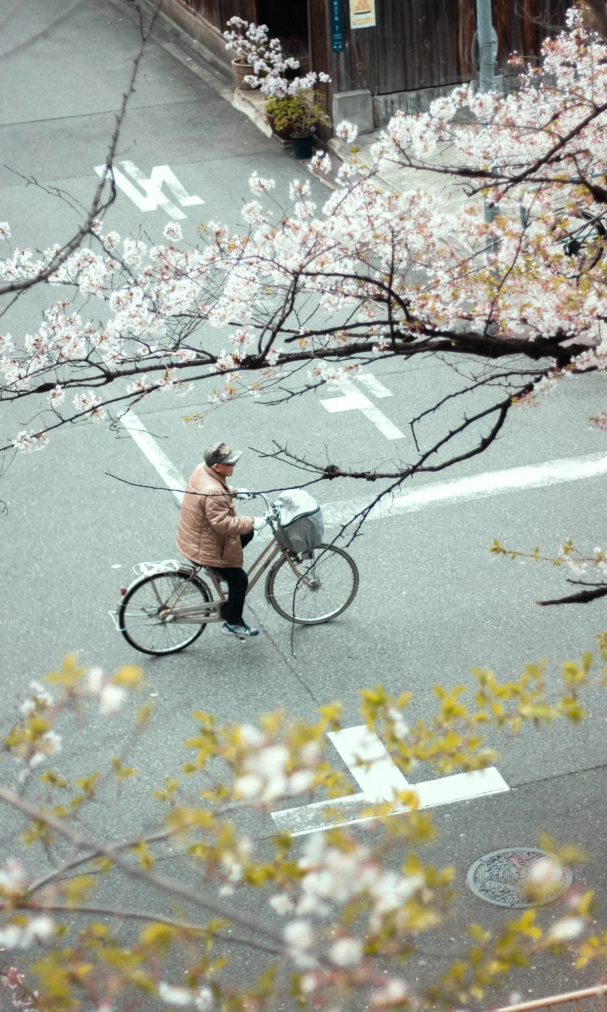 Traditional Japan